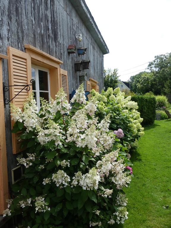 Gite Du Village - Deschambault Экстерьер фото